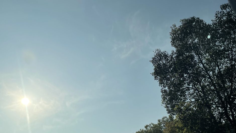 早上好